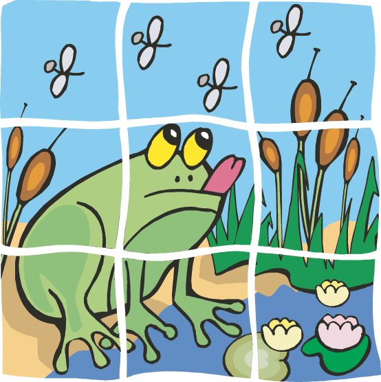 Go On A Virtual Field Trip To A Wetland To Answer Important - Go On A Virtual Field Trip To A Wetland To Answer Important (554x556)