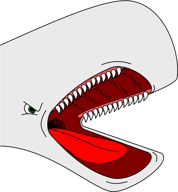 Stereotyped Cartoon Whale Head By Arek-91 On Clipart - Whale Head Cartoon (687x748)