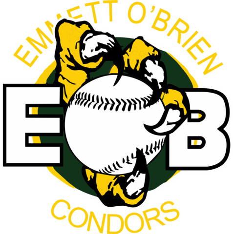 Emmett O'brien Hooded Embroidered Wicking Sweatshirt - Baseball Shower Curtain (477x480)