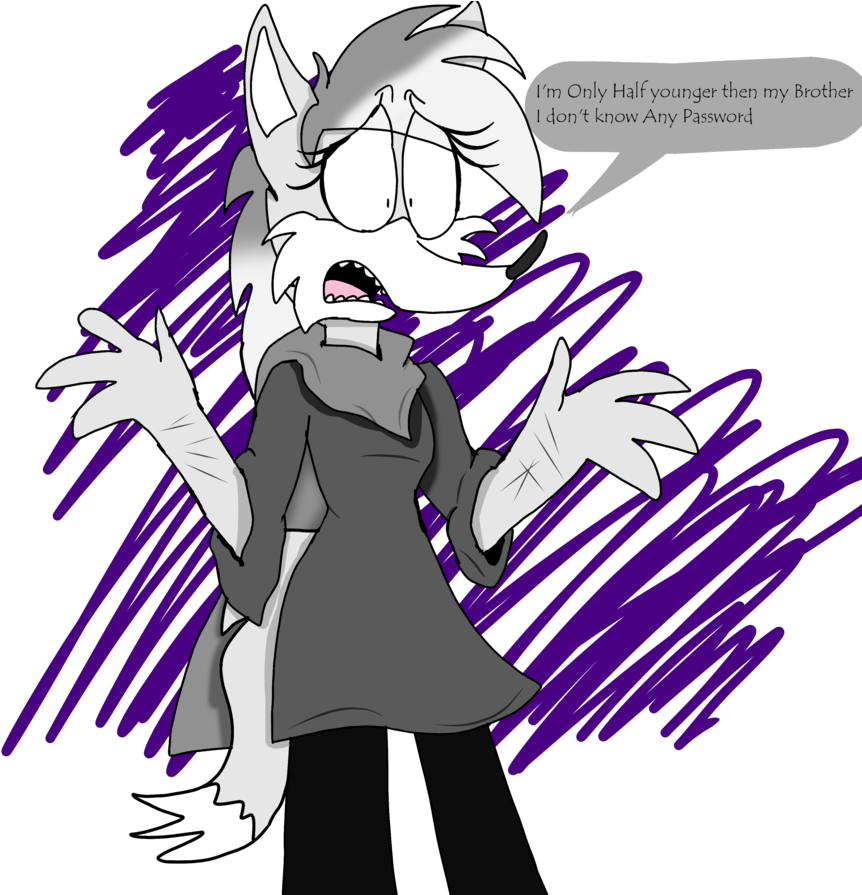 Darkwolf As Rocko's Modern Life By Kitsunekawaiigirl - Illustration (894x894)