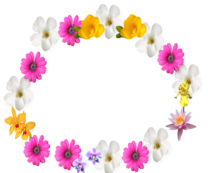 Colorful Flower Frame By Supremechaos918 - Colorful Flowers Frame Png (755x600)