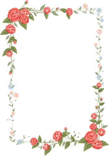 Soloveika Альбом «клипарт / Рамочки - Flowers Borders Png (351x500)