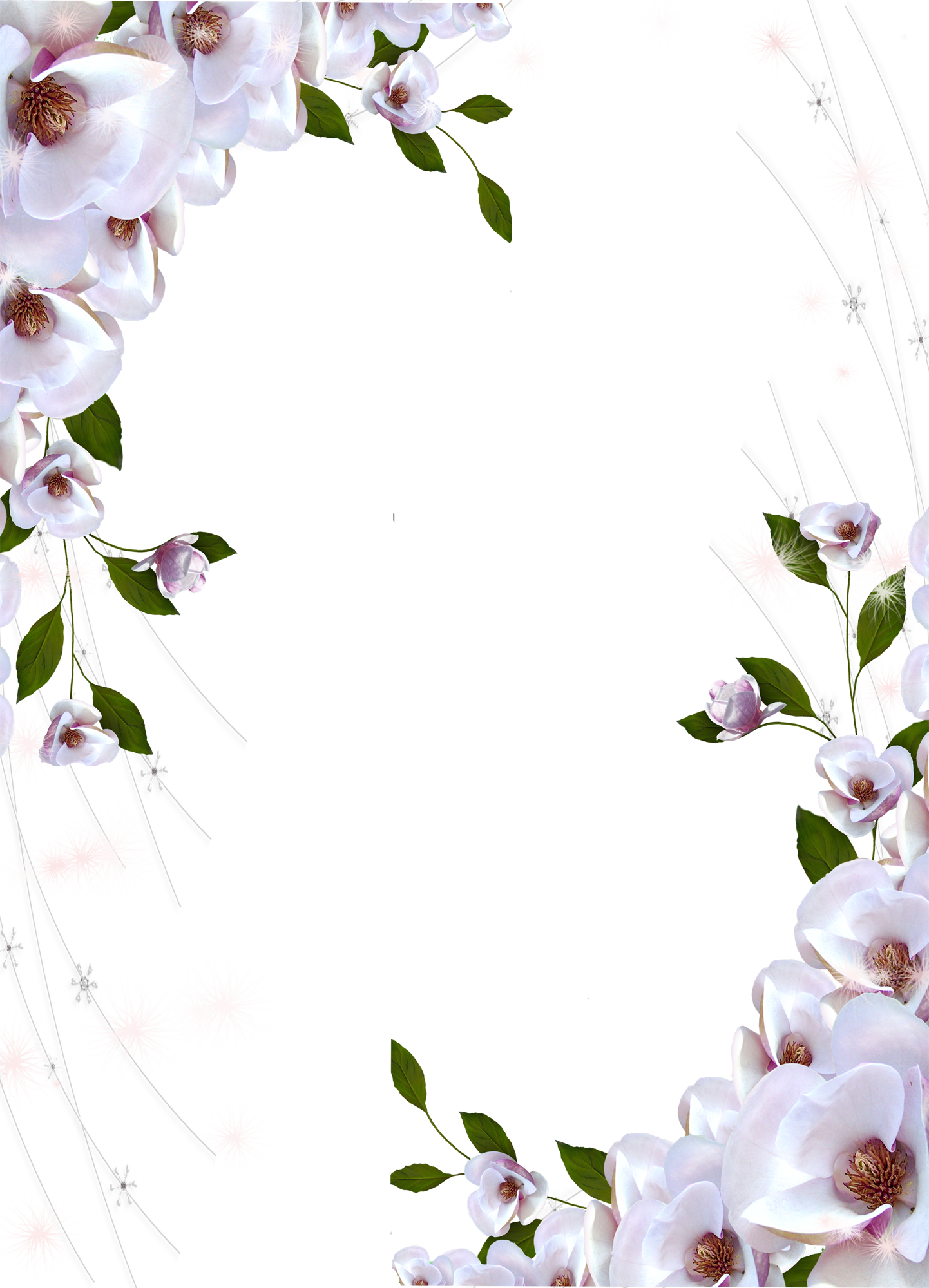 Beautiful Flower Frames Png Transparent Photo Frame - Beautiful Flower Frames Png Transparent Photo Frame (1442x2000)