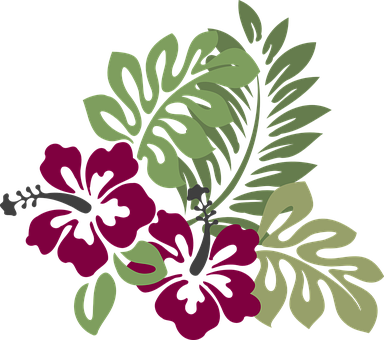 Hibiscus Burgundy Foliage Decoration Flora - Hawaiian Flower Throw Blanket (384x340)