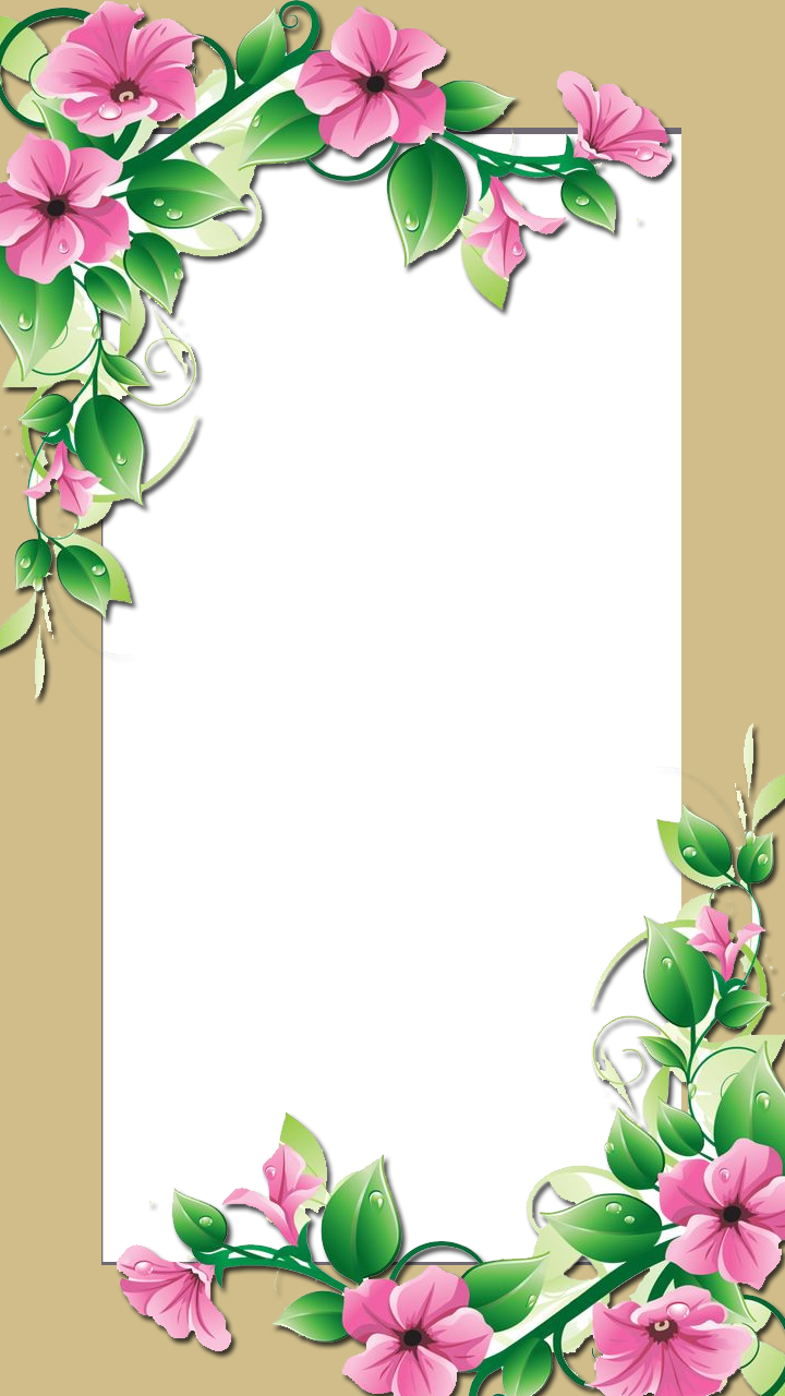 Flower Frame - Pink Flower Border Clip Art (720x1280)