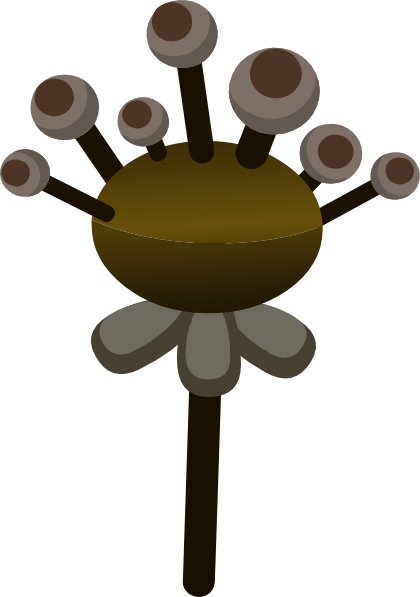 Vector Graphics (420x597)