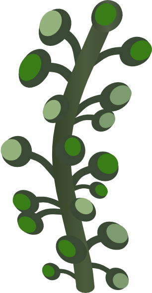 Firebog Underground Bogwillow Clip Art At Clker - Firebog Underground Bogwillow Clip Art At Clker (306x588)