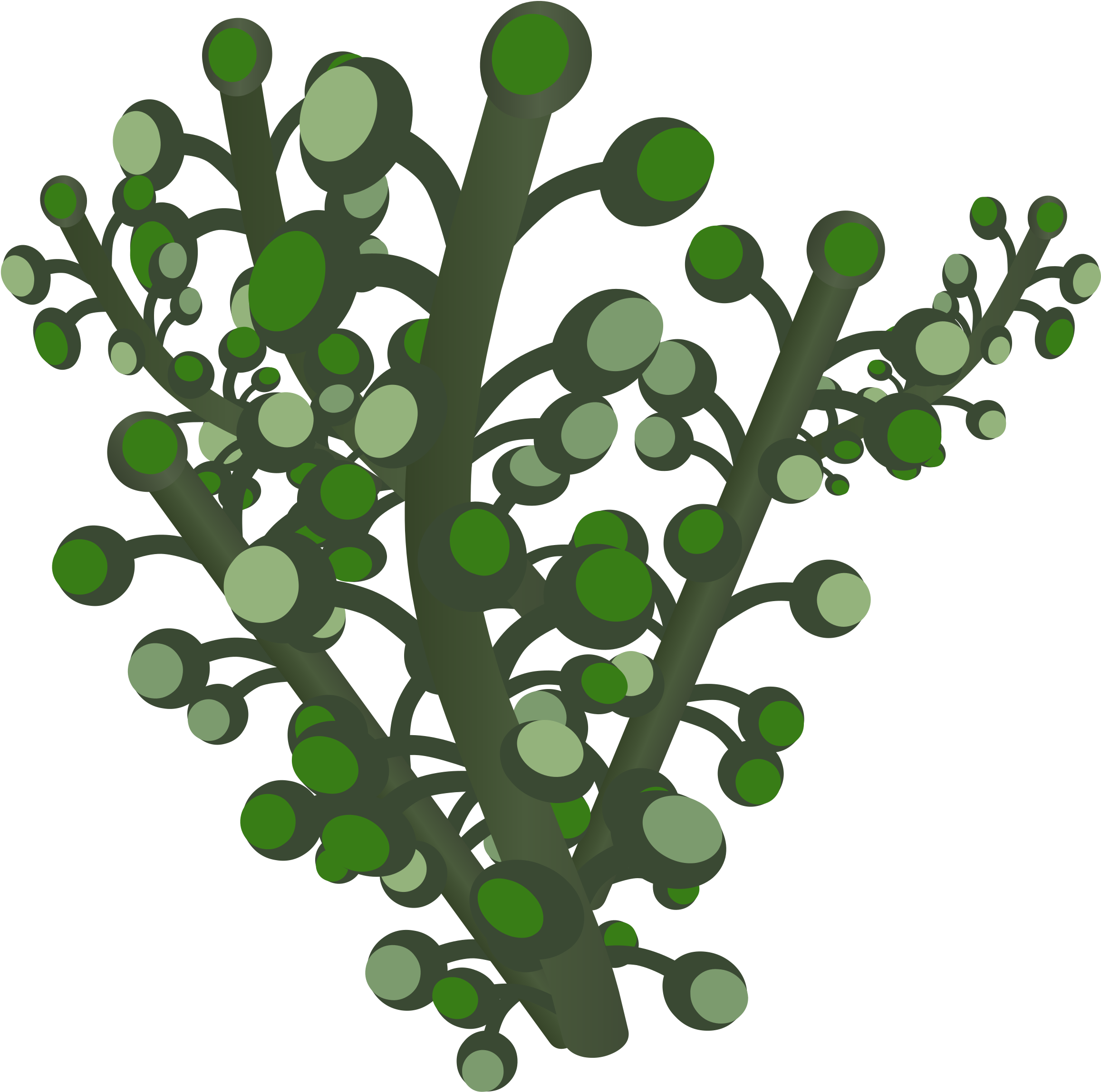 Underground Bogwillow - Gambel Oak (742x750)