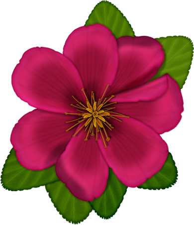Floral Theme, Flower Graphic, Flower Clipart, Flower - Clip Art (390x452)