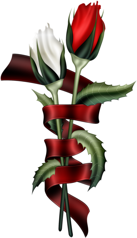 Tubes Fleurs - Grazie Per L Amicizia (482x800)