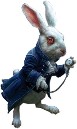 Alice Aux Pays Des Merveilles - White Rabbit Alice Png (300x500)
