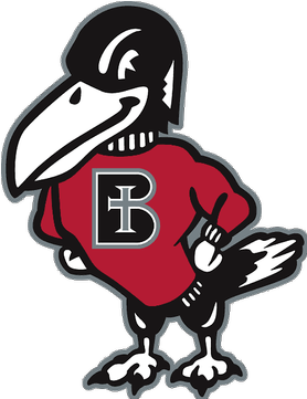 Benedictine College Football - Benedictine Ravens (360x360)