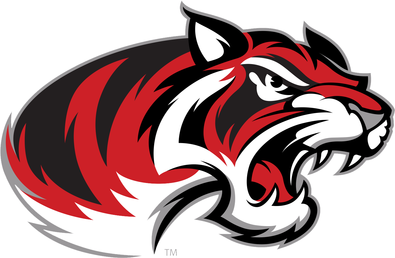 Braswell Bengals - Braswell High School Football (1500x1026)