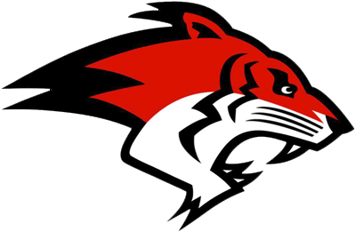 The British American Football Association Have Announced - Tiger In American Football (398x398)