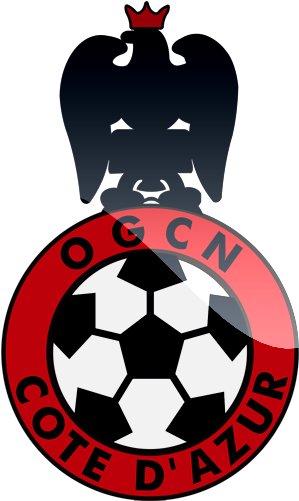 Nice Logo - Football Team And Logos (500x500)