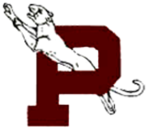 Paulding Panthers - Paulding Panthers Logo (480x420)