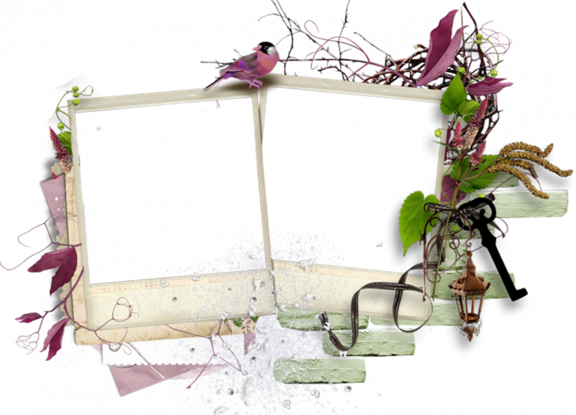 Polaroid Flower Frame - Cornici Professionale Png Per Photoshop (833x600)