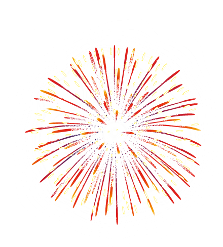 Fireworks Png - Portable Network Graphics (495x569)