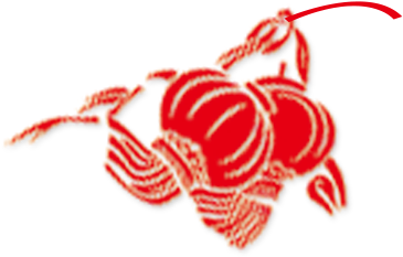 Lantern Chinese New Year Clip Art - Illustration (500x500)