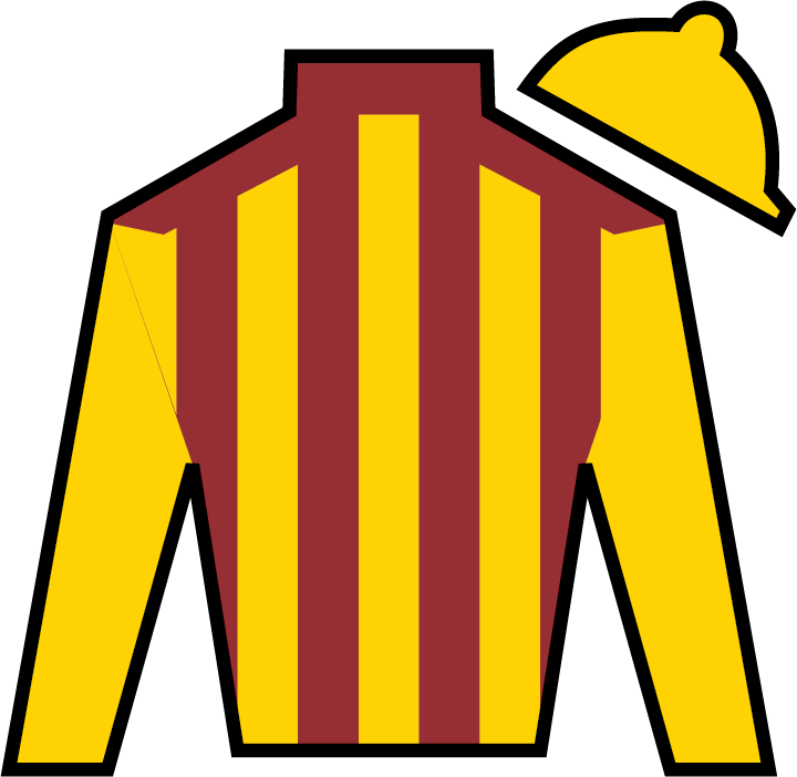 Irish War Cry - Good Magic Horse Silk (720x702)