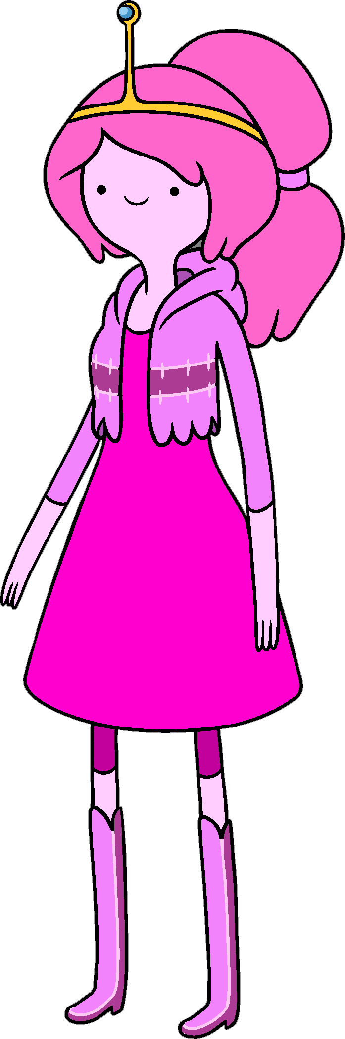 Princess Bonnibel Bubblegum - Adventure Time Princess Bubblegum (697x2098)