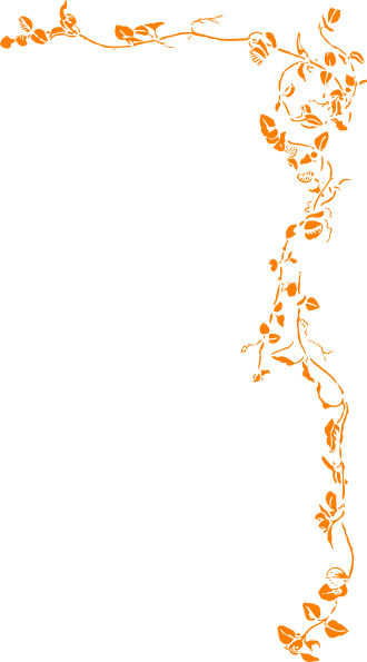 Frame Clipart Firework - My Name Is Baylee (330x595)