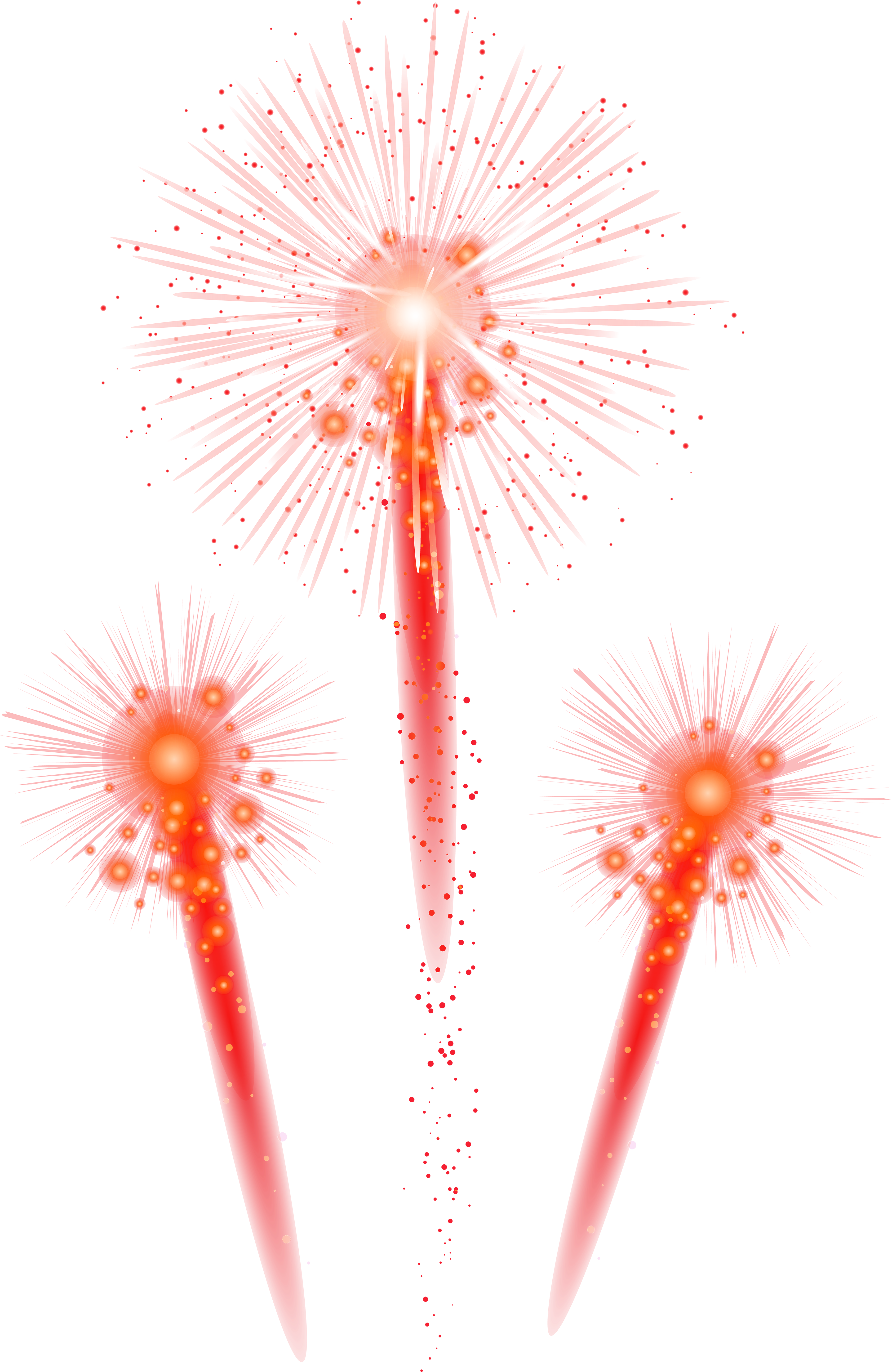 Fireworks Clipart Pink - Echinoderm (3902x6000)