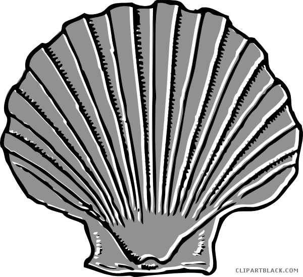 Seashell Animal Free Black White Clipart Images Clipartblack - Shell Clip Art (600x549)