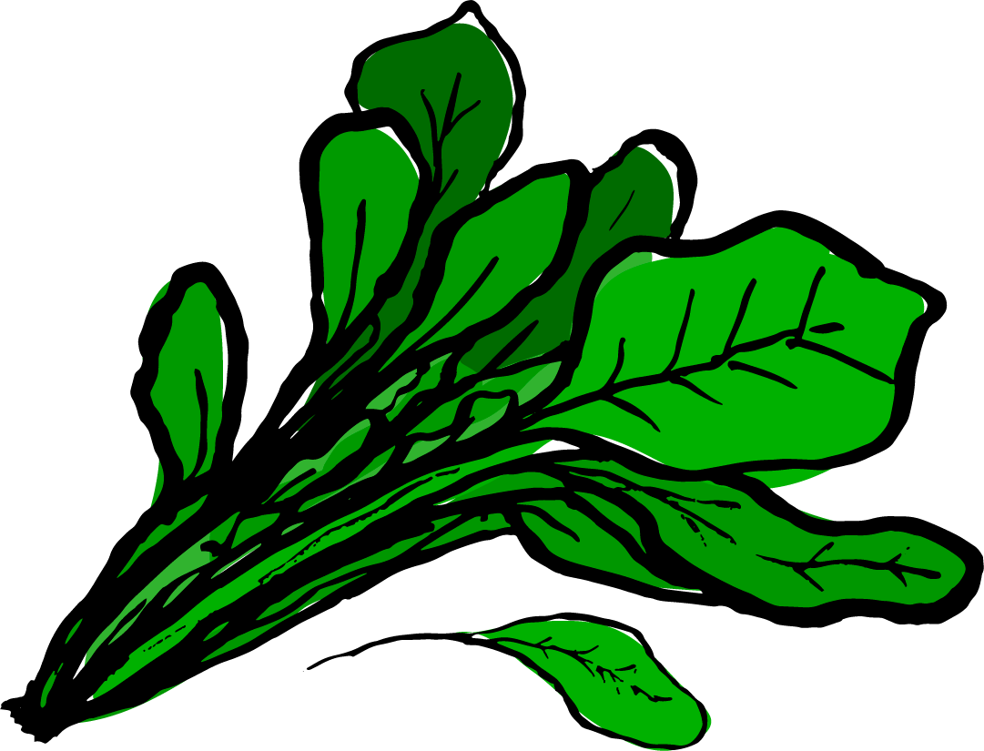 Spinach - Spinach Clipart Png (1081x825)