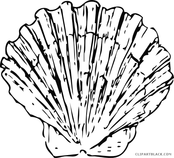 Beautiful Seashell Animal Free Black White Clipart - Black And White Shell (600x544)