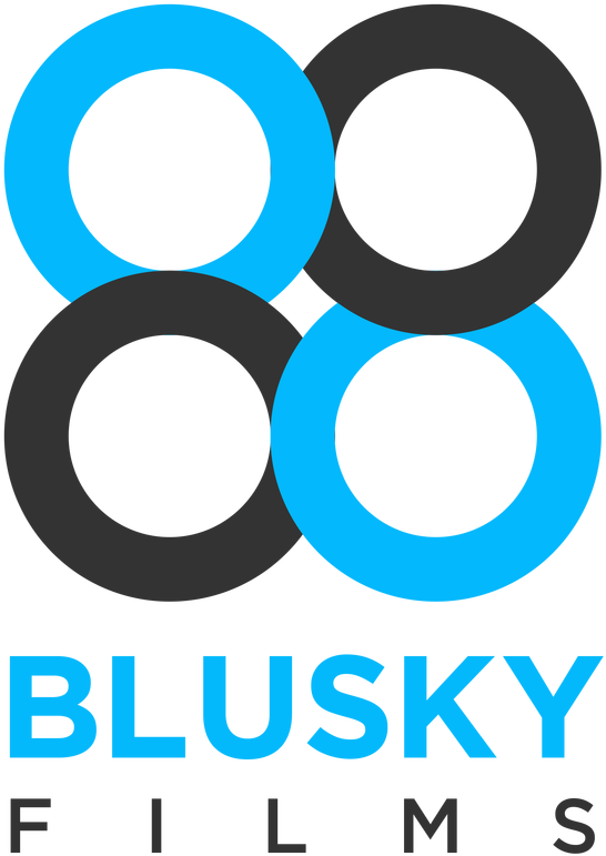 Blu Sky Films - Geometry (583x800)