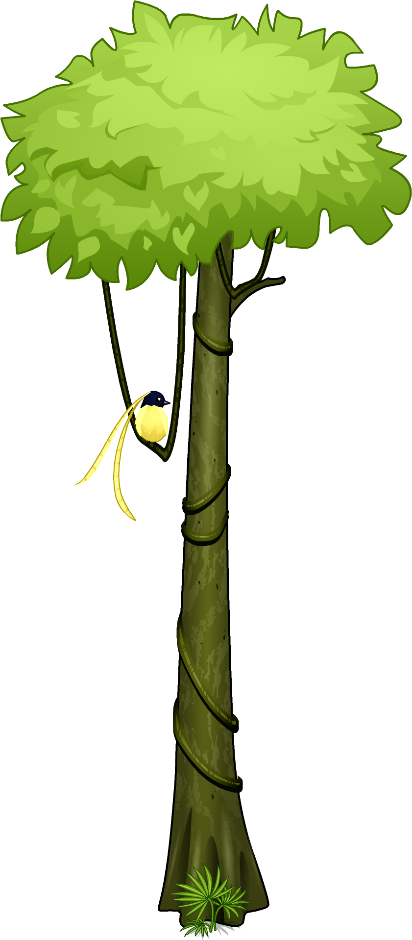 Amazon Rainforest Tropical Rainforest Tree Clip Art - Rainforest Tree Clip Art (1080x1920)