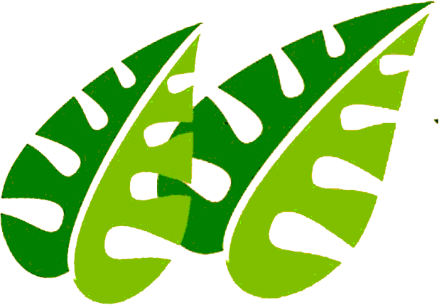 Jungle Adventure - Safari Boy Clipart Png (618x429)