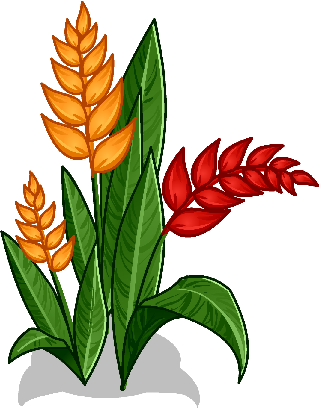 Cut Flowers Amazon Rainforest Clip Art - Rainforest Flowers Clipart (1080x1920)