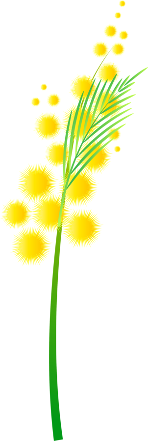 Mimosa - Mimosa (302x900)