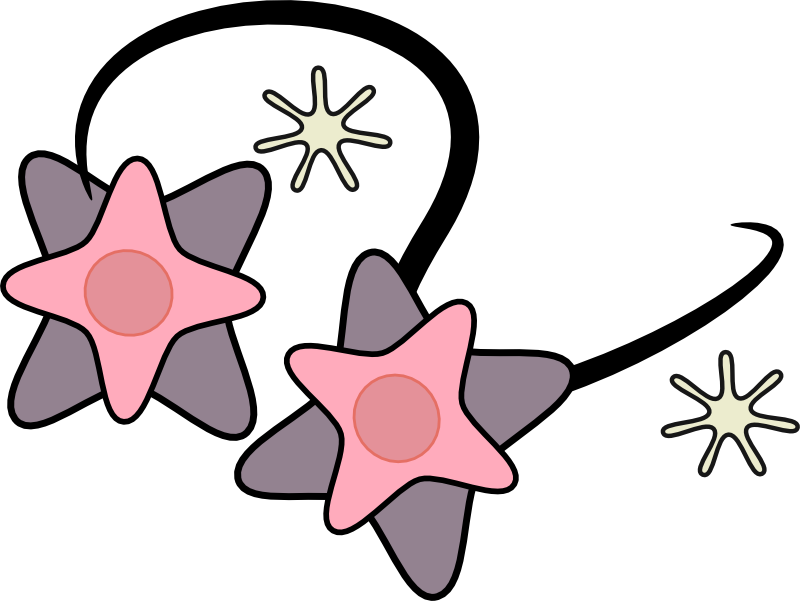 Seashore Clipart - Clip Art (800x601)