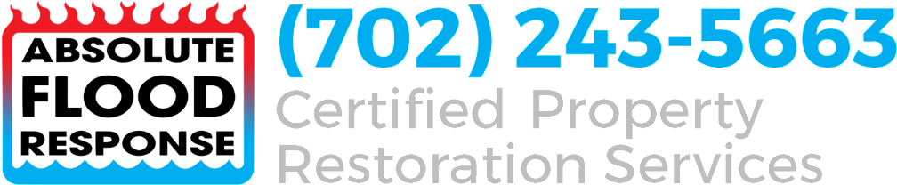 Absolute Flood Response Logo Header - Absolute Flood Response (1024x227)