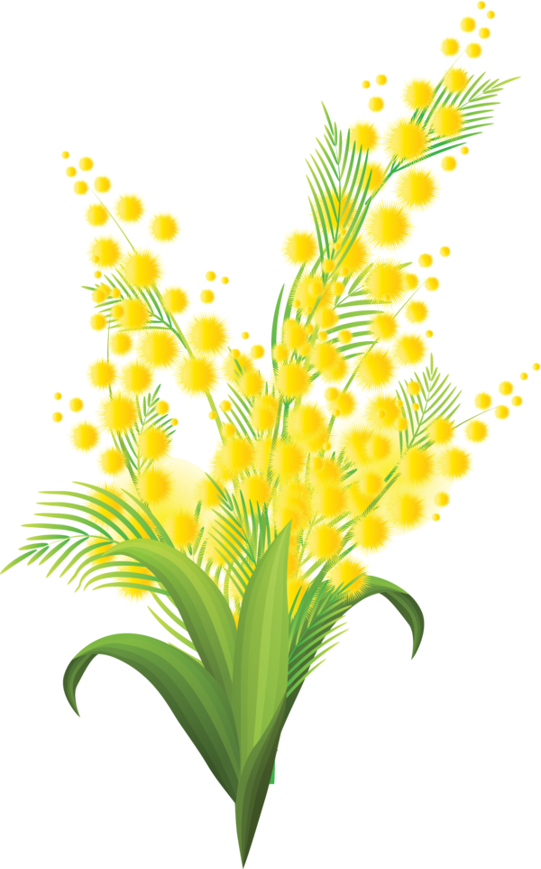 Publicat De Eu Ciresica La - Открытка Мимоза Своими Руками (600x963)