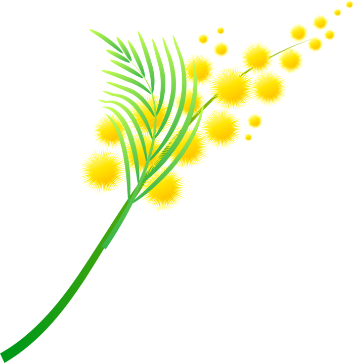 Mimosa - Mimosa (700x719)