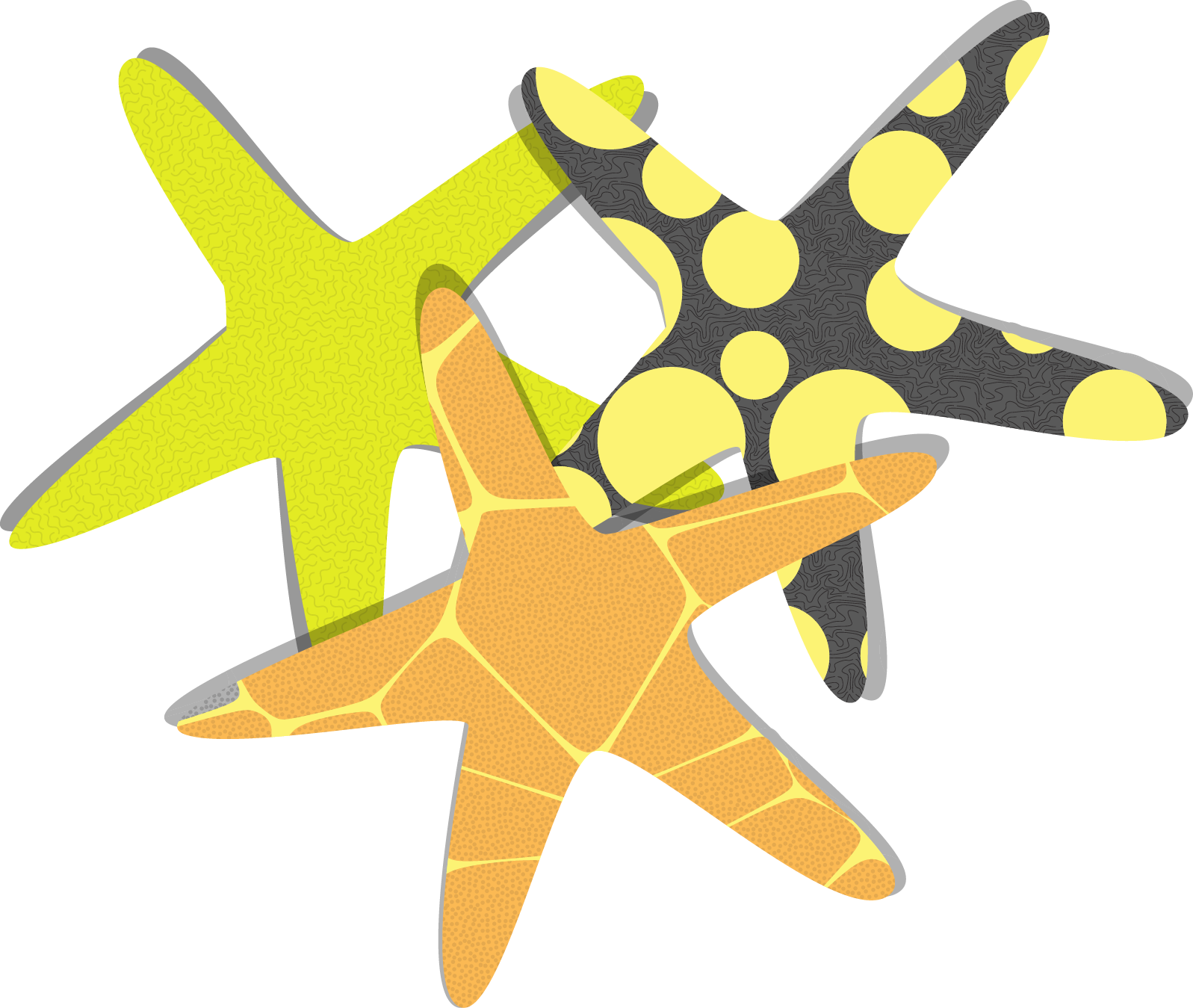 Starfish Euclidean Vector Clip Art - Starfish Euclidean Vector Clip Art (1597x1349)