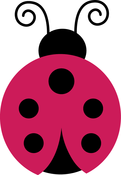 Joaninha - Minus - Ladybird Beetle (500x724)