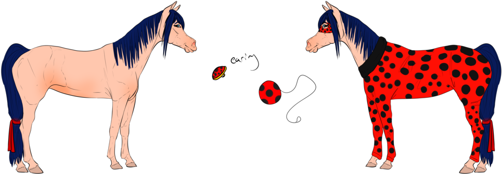 Blue Of Eyes Name - Mane (1024x373)