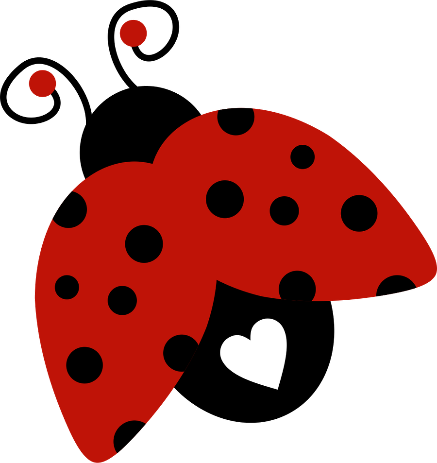 Joaninha - Minus - Papel De Parede Da Joaninha (900x953)