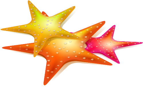 Euclidean Vector Starfish Sea - Euclidean Vector Starfish Sea (700x410)