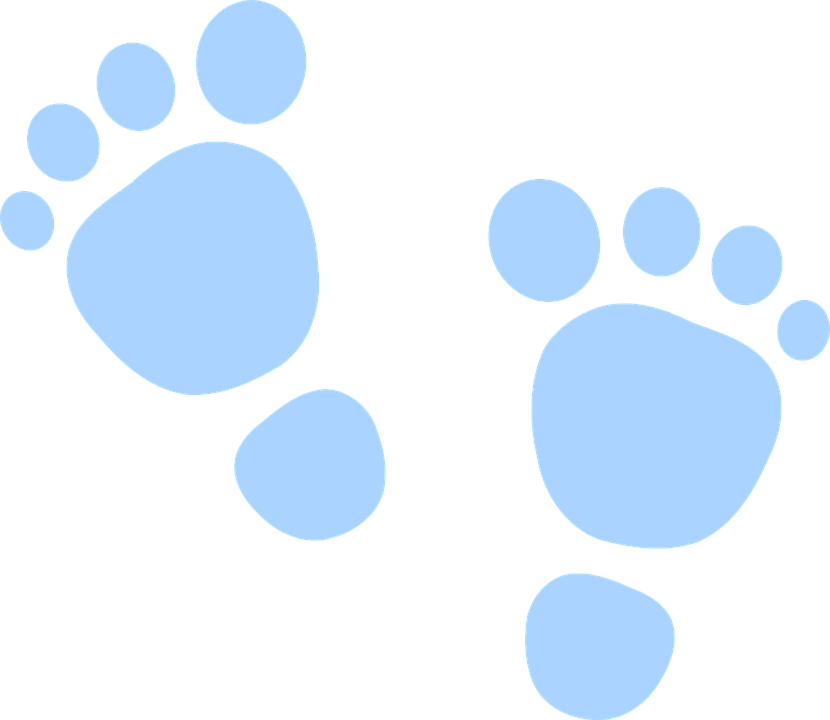 Animal Footprints Cliparts 20, Buy Clip Art - Infant (830x720)