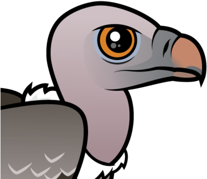 About The Rueppell's Vulture - Rüppell's Vulture (440x440)