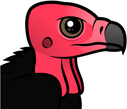 About The Red-headed Vulture - Red Headed Vulture Bird (440x440)