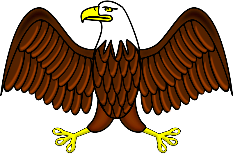 Animated Bald Eagle Throw Blanket (800x800)
