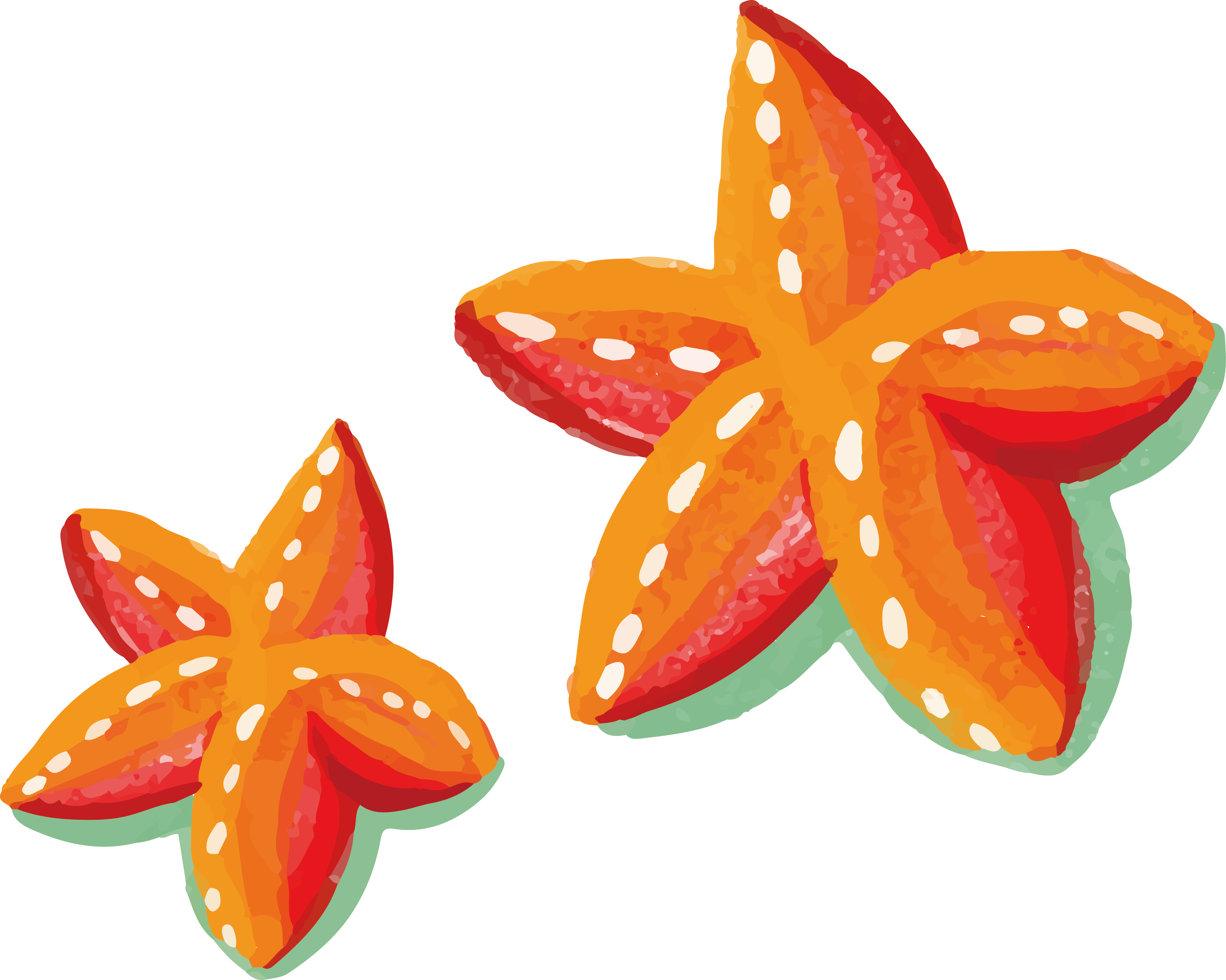Watercolor Painting Starfish - Starfish (4343x3473)
