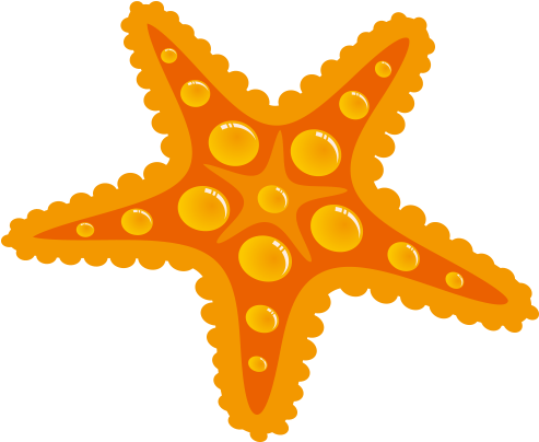 Starfish Drawing Seashell - Amarelo Estrela Do Mar Png Desenho (500x500)